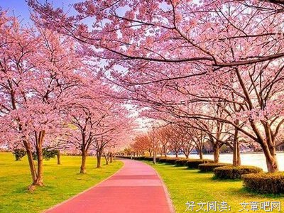 莞尔的句子