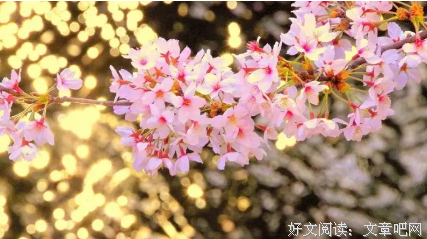 赏读丨打开心窗，遇见美好