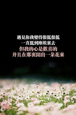 关于抱歉的唯美语录