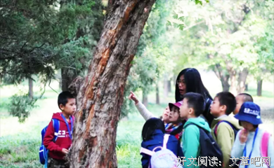 《不曾走过，怎会懂得》好段摘抄