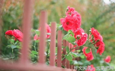 这些星座会喜欢同一个人好几次