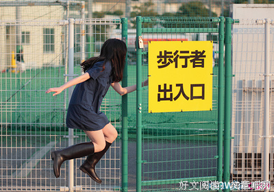 关于敏捷的名句摘抄