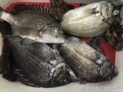 你所讨厌的才是你真正需要的