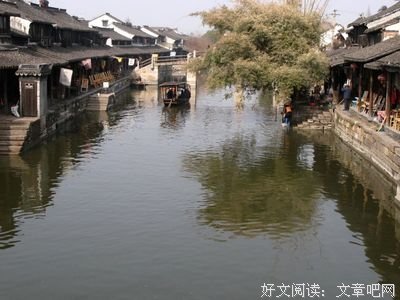 描写老木的经典句子