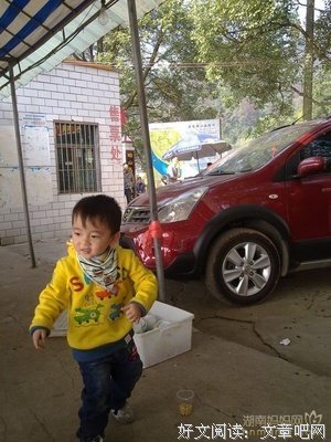 爸妈，我真的不想考研考公