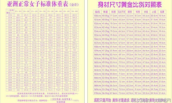 “2018女性标准身材表”