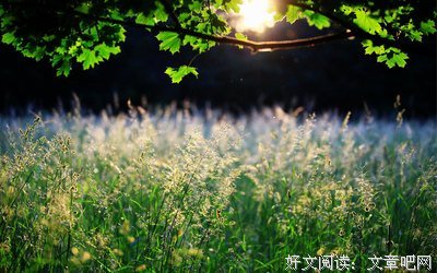 描写长吁短叹的经典句子