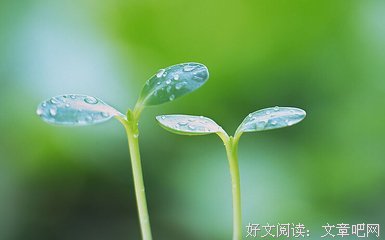 最全的网络经典名句