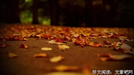 让他没法使坏！（好文力荐）
