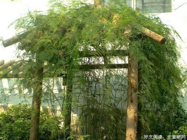 人身上有三处风水，养好就是大富大贵