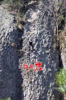纸上寻仙记的读后感10篇