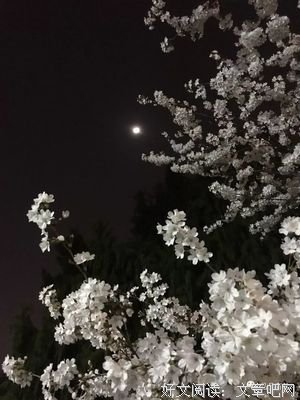 花花世界的句子