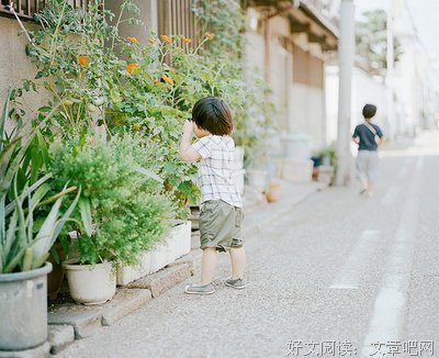 2017宋小君经典句子