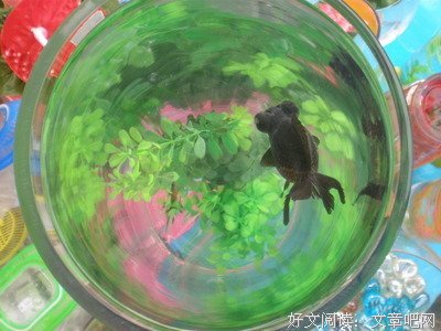 关于同床共枕的语句