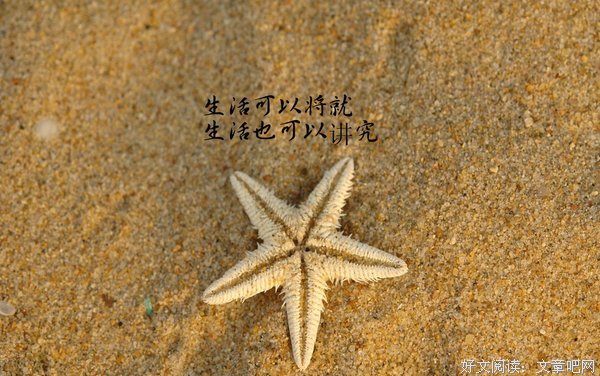 15条关于林生的经典语句