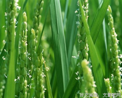 描写痛定思痛的语句摘抄