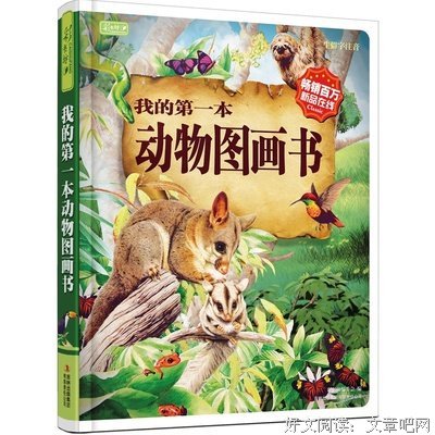 我的世界·冒险故事图画书（6册）读后感10篇