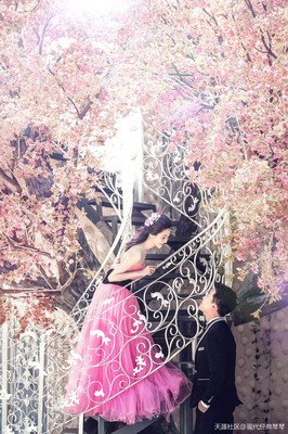 如无相欠，怎会相见