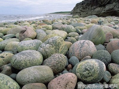 小东的句子