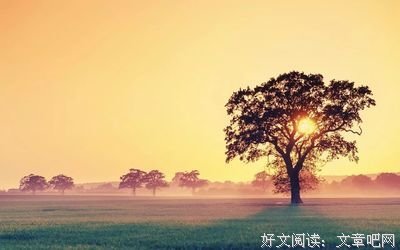 100 - 1 = 0，这就是人性!