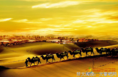 《追随直觉之路》读后感10篇