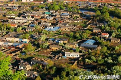李子树上的男孩读后感10篇