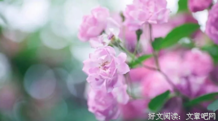 赏读丨五月，种下美好，收获幸福