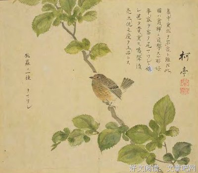 最全的佚名名句欣赏