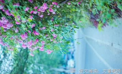 韩国年度催泪短片：别让女孩用离开，教会你如何成长！