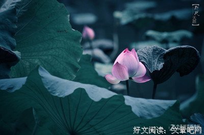 梦里·花落