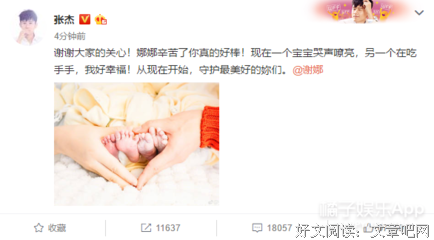 张杰首晒双胞胎女儿照！嫁给对的人，才是嫁给最美的爱情！