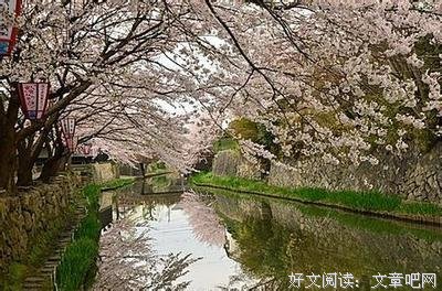 最新的比企谷八幡经典语录