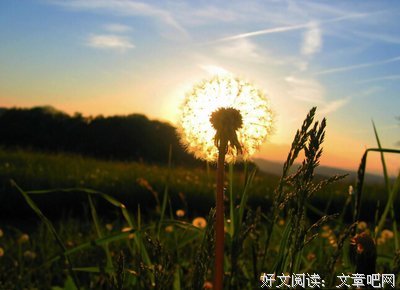最新的《回眸一笑JQ起》小说摘抄大全