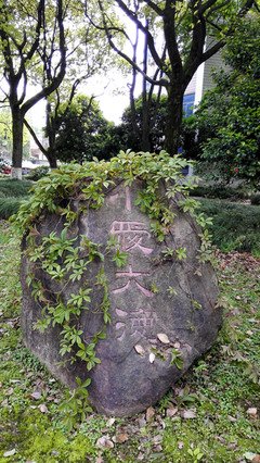 隽刻的句子