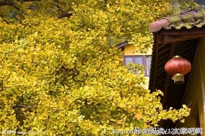 一副对联，便写尽了人生