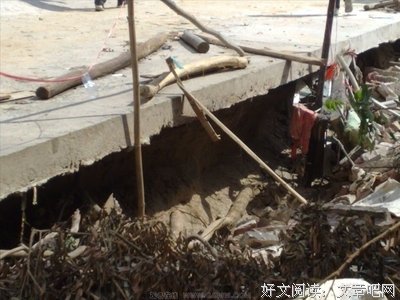 林尘,来过