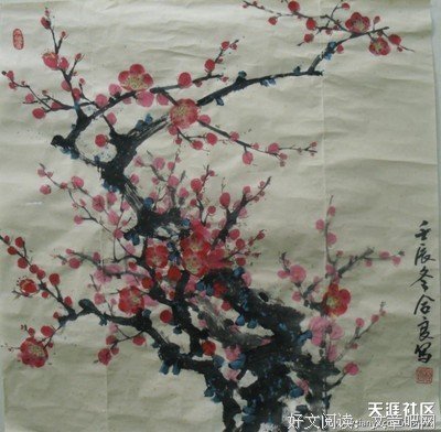 梅寒的语句摘抄_关于梅寒的语句
