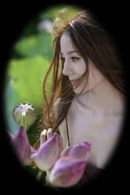最新的《灵性深处开莲花》美文美句