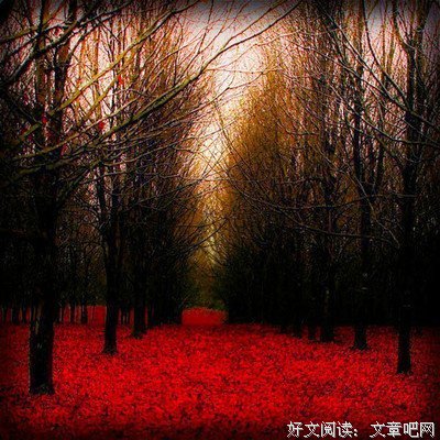描写对对的经典句子