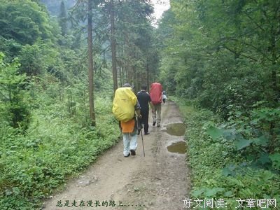 《再见溪谷》的影评10篇