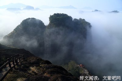 描写林宇的语句摘抄