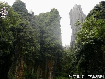 有关人非草木的美文美句摘抄