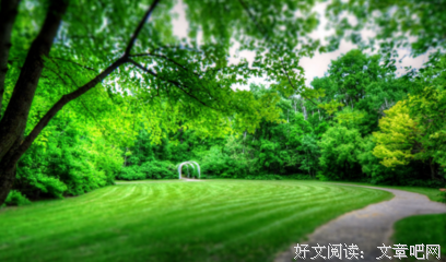 木心的句子