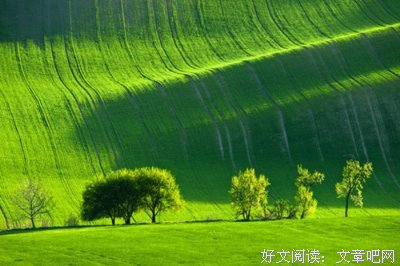 关于韶华易名言名句