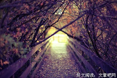 15条关于敷衍了事的经典语句