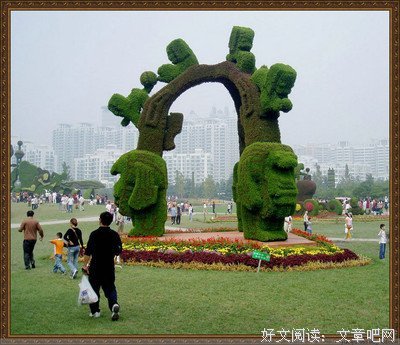 关于花落花开的语句