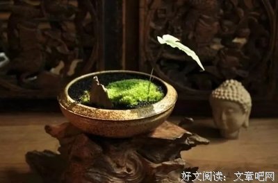 早读：心静，也是一种美