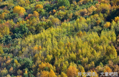 10天挽回成功不是梦，听导师的话就行！