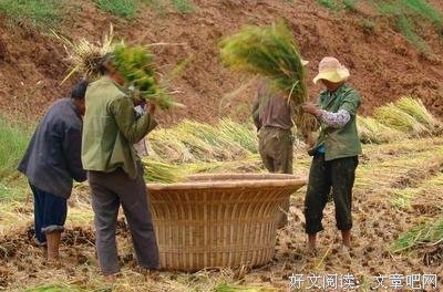 什么样的人最适合创业？