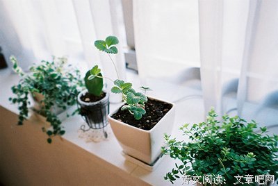 伍迪·艾伦经典语录